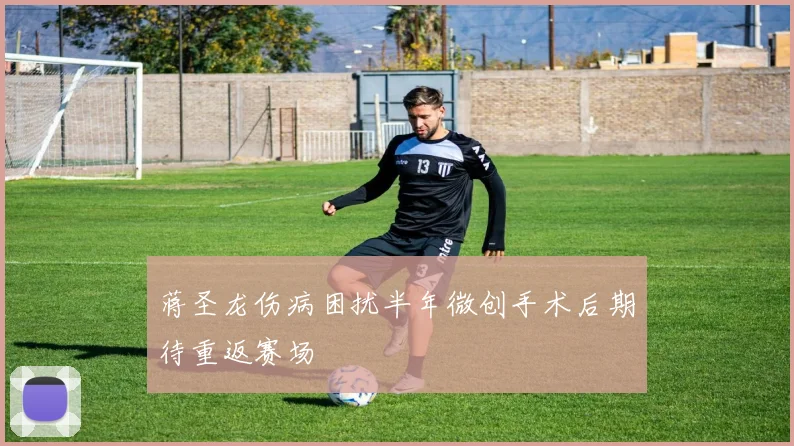 蒋圣龙伤病困扰半年微创手术后期待重返赛场