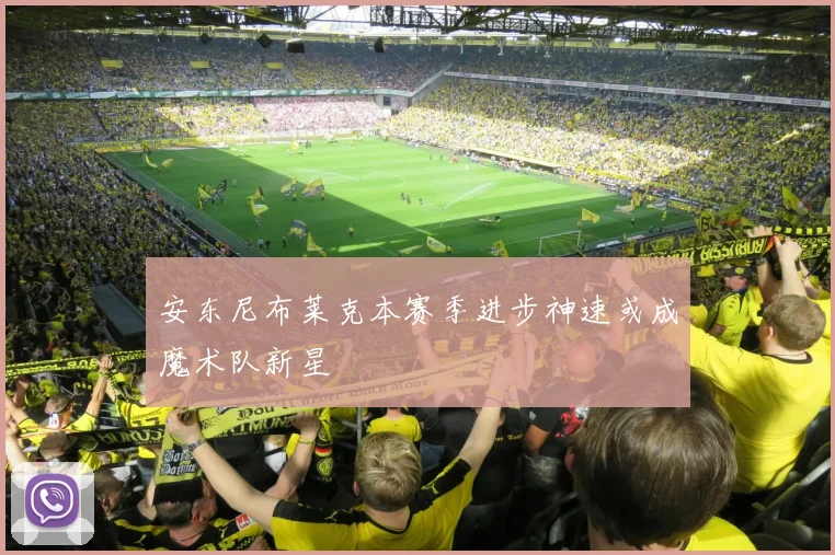 安东尼布莱克本赛季进步神速或成魔术队新星