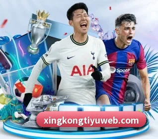 五大服务分区,信息按项目分类 - xingkong