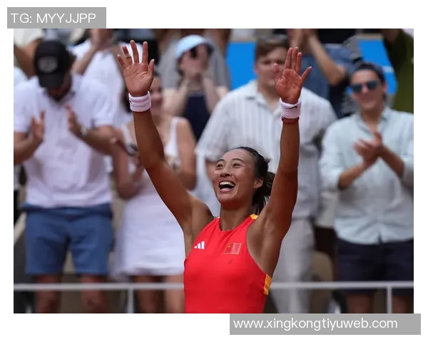 舒梅切尔：对拉门斯的评价需谨慎不宜施加过多压力