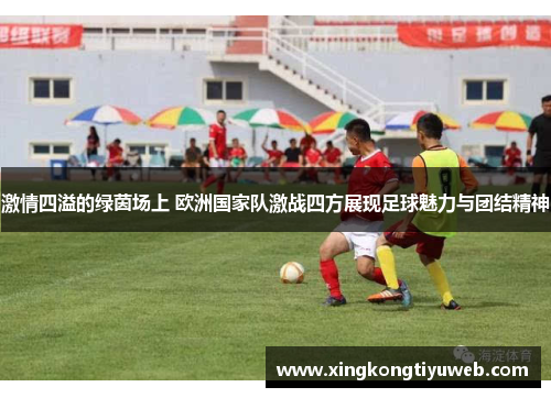 激情四溢的绿茵场上 欧洲国家队激战四方展现足球魅力与团结精神
