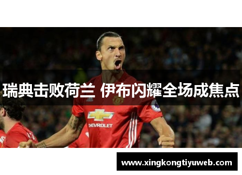瑞典击败荷兰 伊布闪耀全场成焦点