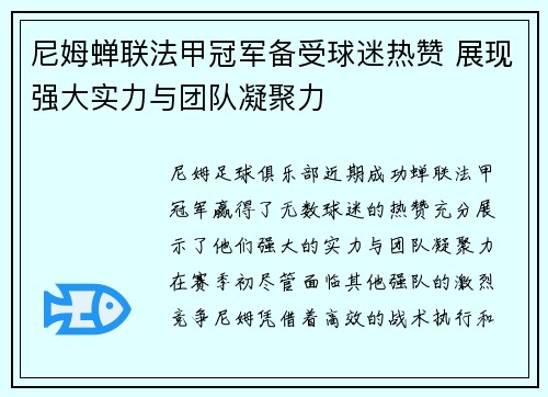 尼姆蝉联法甲冠军备受球迷热赞 展现强大实力与团队凝聚力