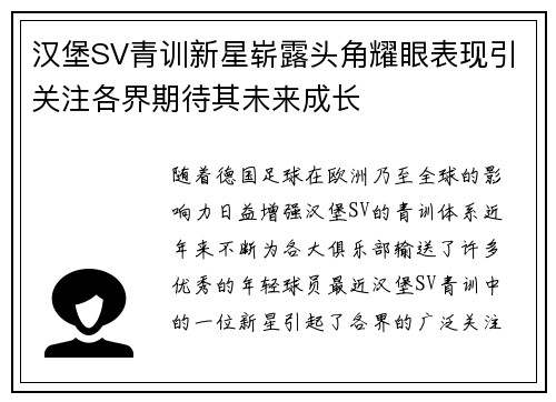 汉堡SV青训新星崭露头角耀眼表现引关注各界期待其未来成长