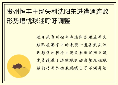 贵州恒丰主场失利沈阳东进遭遇连败形势堪忧球迷呼吁调整